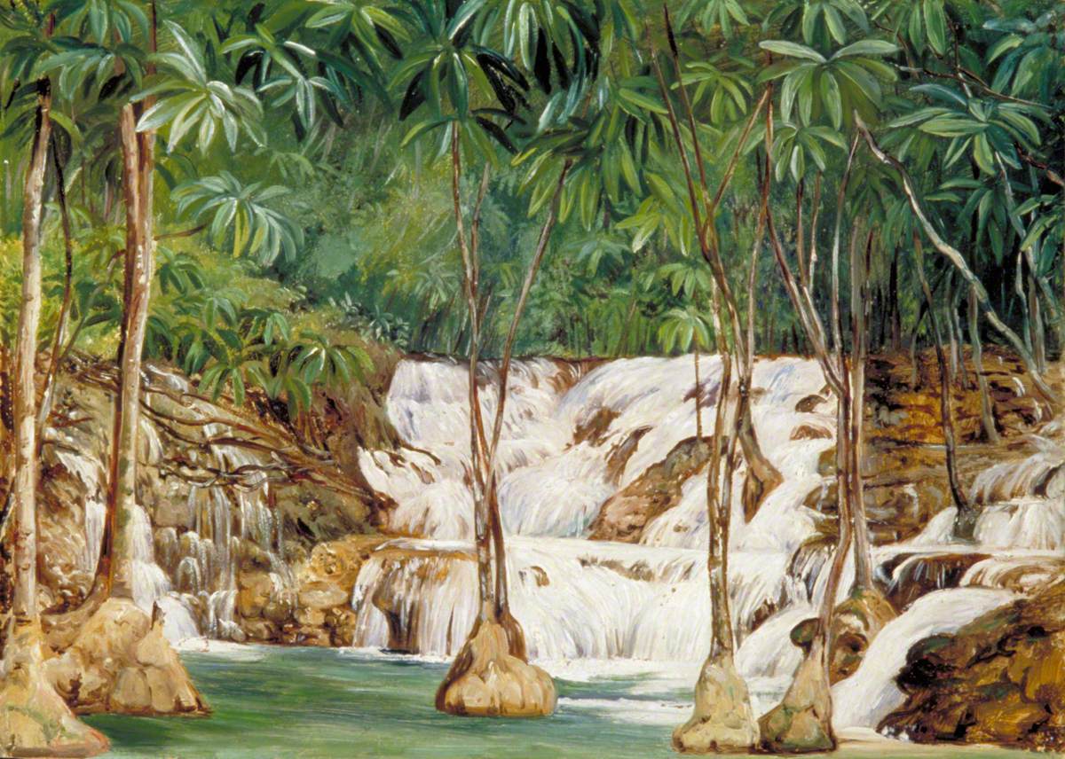 One of the Sources of the Roaring River, Jamaica