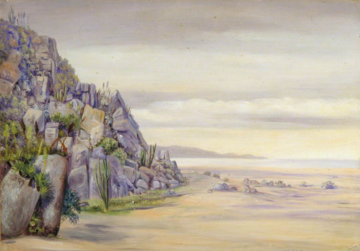 View in the Salinas, Chili