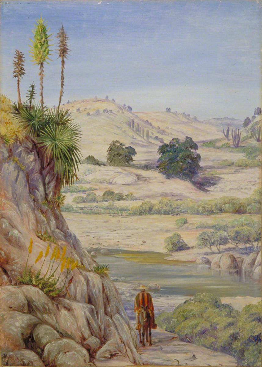 View near Quilpue, Chili