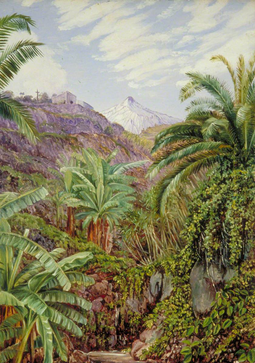 View of the Peak from the Bridge of Icod, Teneriffe