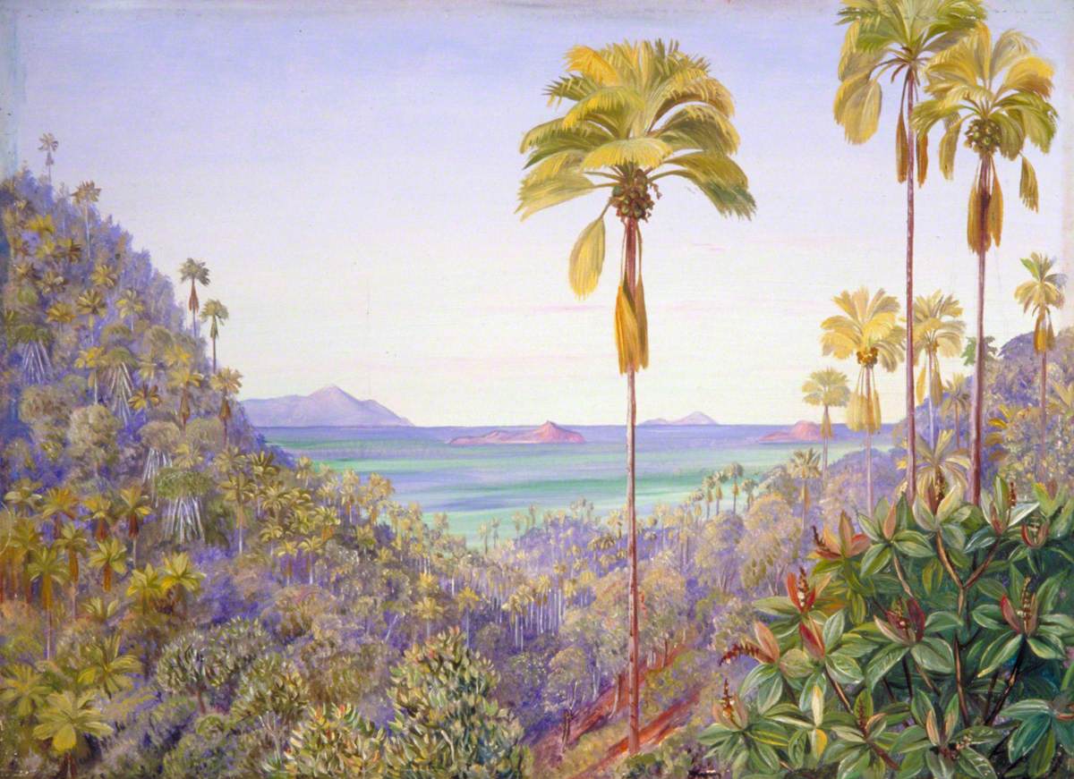 Coco de Mer Gorge in Praslin, Seychelles, with Distant View of Mahé Silhouette and the Cousins