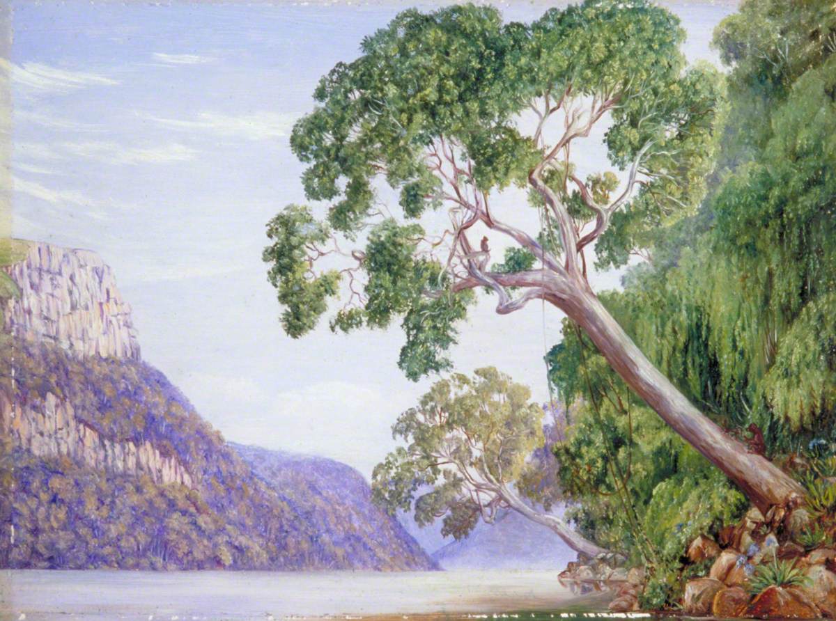 Kaffir Plumtrees Overhanging St John's River, Kaffraria Africa do Sul