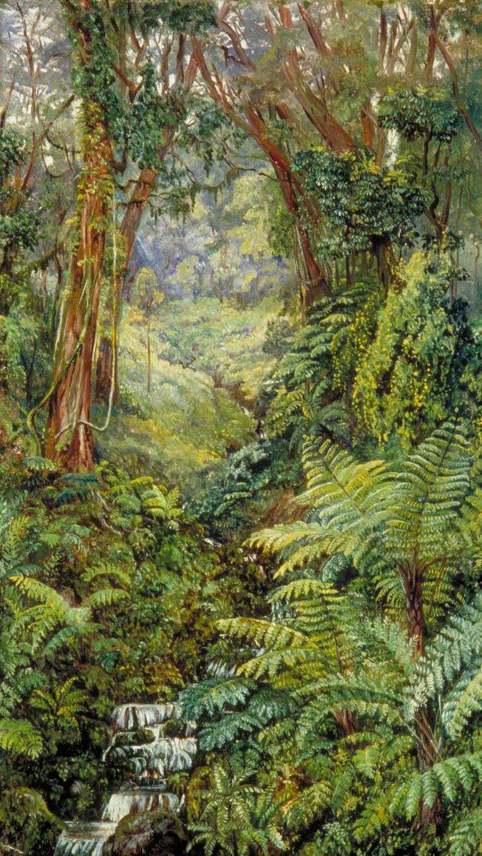 Valley of Ferns near Rungaroon, India