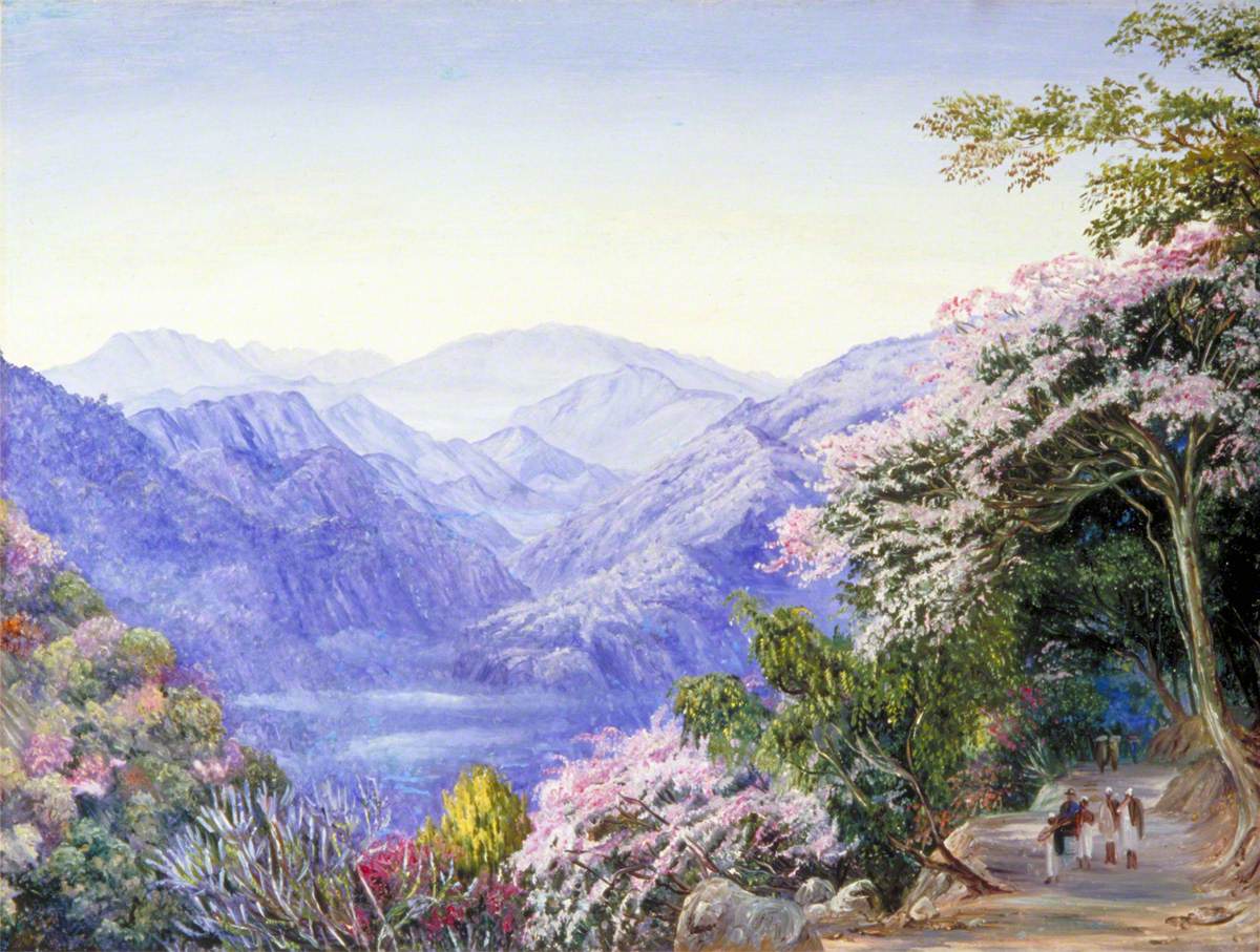 Road up to Nainee Tal, India, in Spring Time