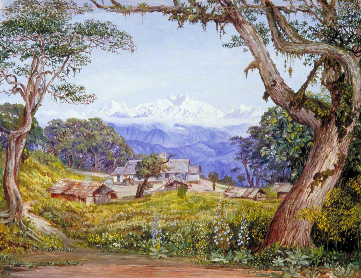 View of Kinchinjunga from Tonglo