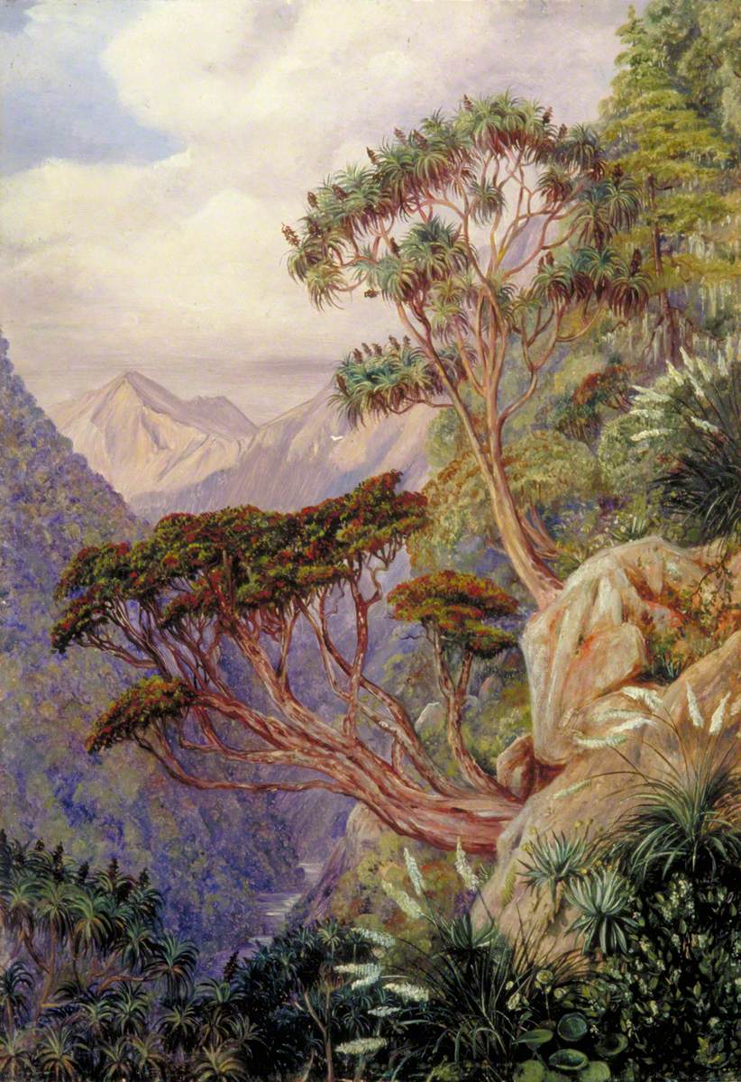 View of the Otira Gorge, New Zealand