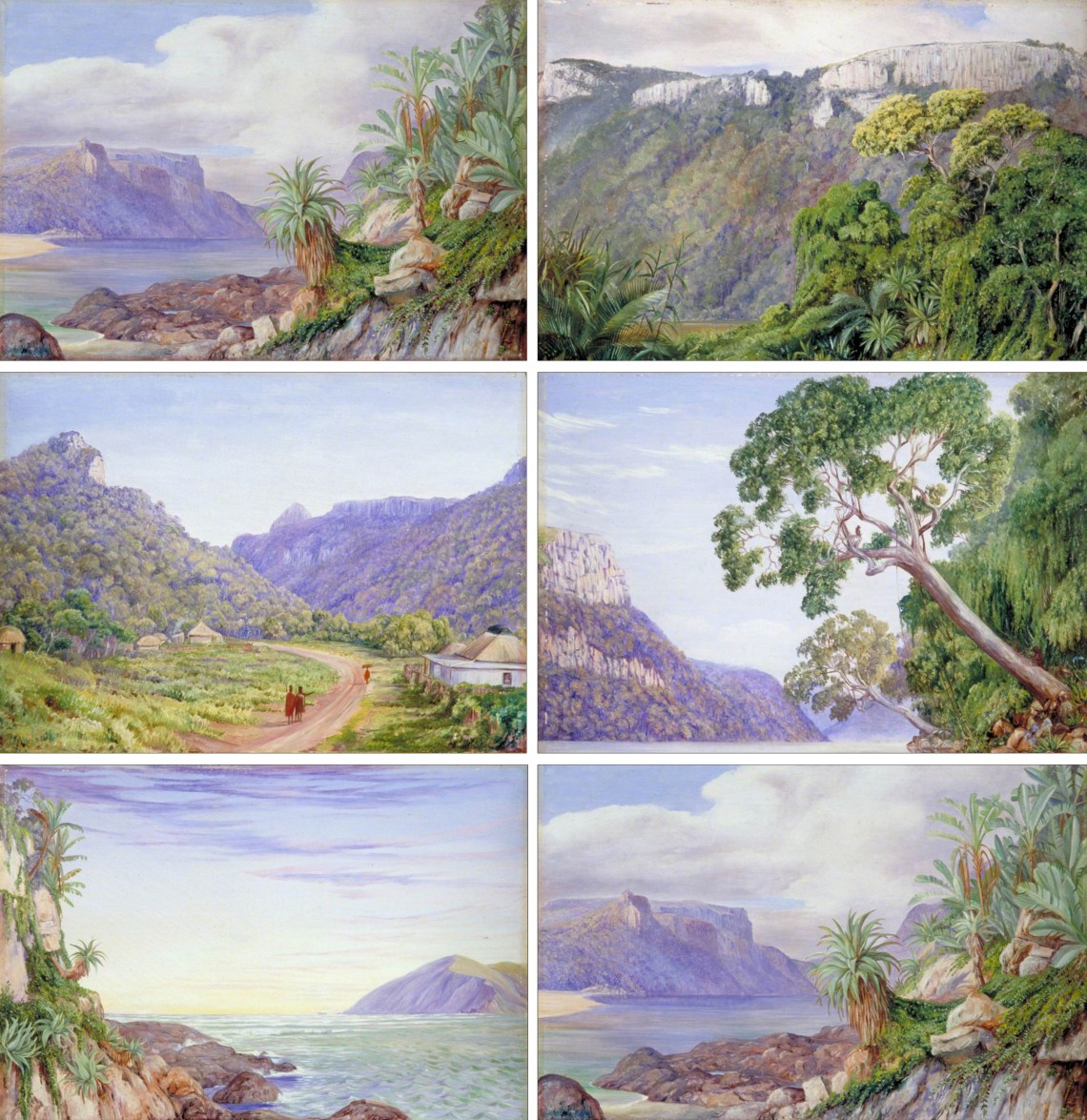 Figura 57 - África do Sul. A) Vista costeira com aloés em primeiro plano. B) Escarpas rochosas e vale florestado. C) Vale agrícola entre montanhas. D) Encosta arborizada com escarpas ao fundo. E) Litoral rochoso com vegetação costeira e ilha ao fundo. F) Vista costeira com aloés e afloramentos rochosos.