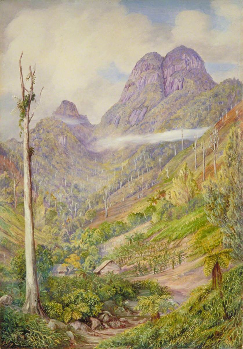 Figura 59 - Seychelles. Vale montanhoso com encostas íngremes, afloramentos graníticos e ocupação humana em primeiro plano.